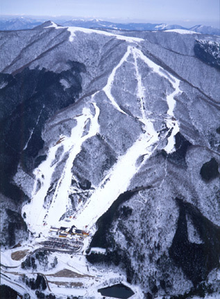 Dolphin Valley Piste / Trail Map