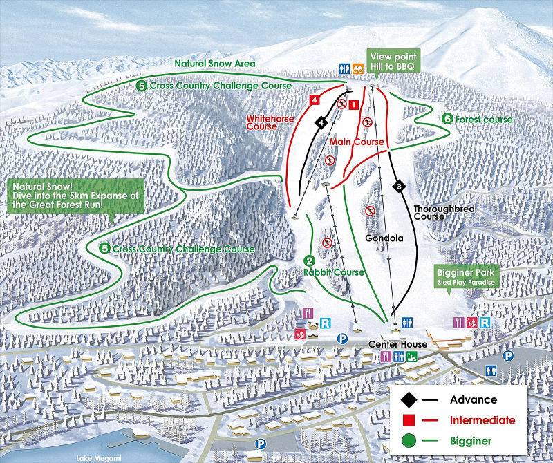 Shirakaba Kogen Kokusai Piste / Trail Map