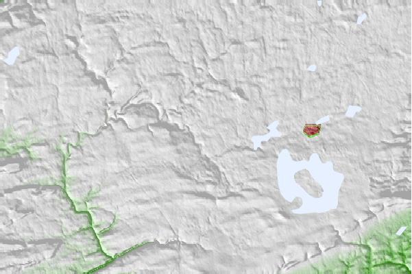@{@location.name} neighbourhood basemap