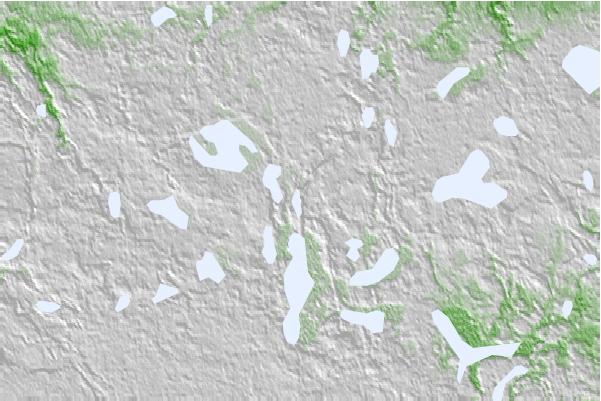@{@location.name} neighbourhood basemap