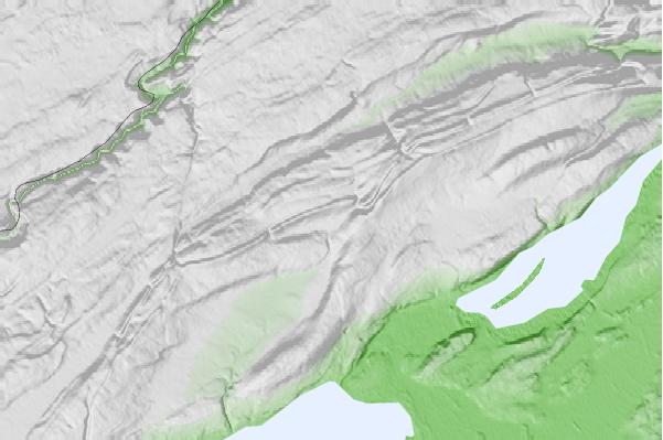 @{@location.name} neighbourhood basemap