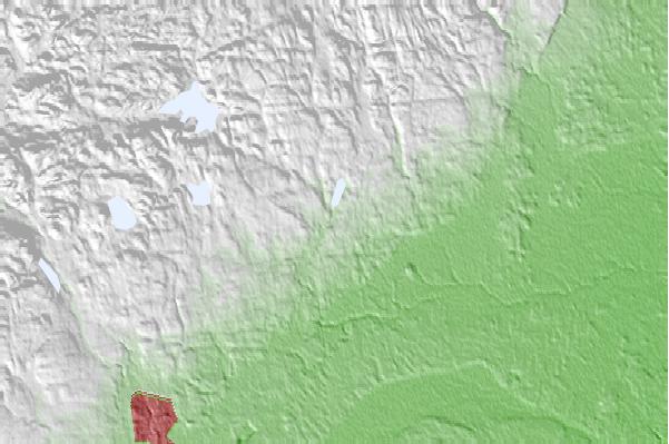 @{@location.name} neighbourhood basemap
