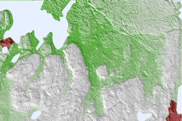@{@location.name} neighbourhood basemap