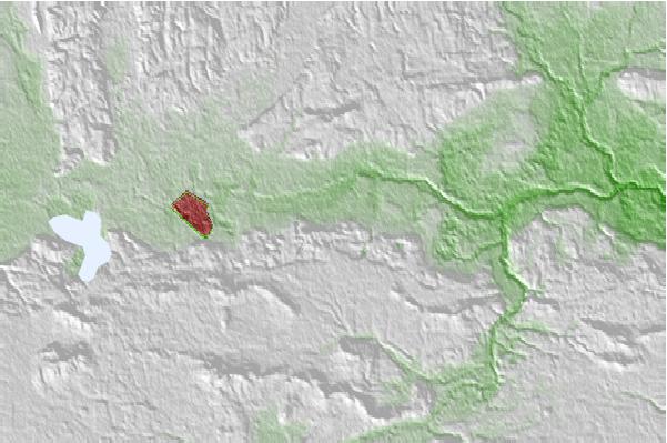 @{@location.name} neighbourhood basemap
